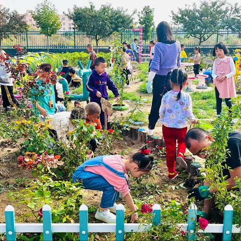 “走进小菜园，拥抱大自然”﻿———宁县新庄镇中心幼儿园一次劳动教育实践活动