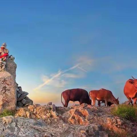 兔年太子尖/马啸古道+清凉峰公益约伴二日自驾游