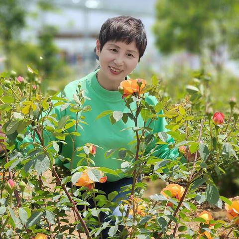 句容赏玫瑰🌹花活动图片之二