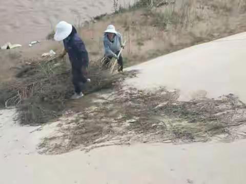 窑店镇人居环境卫生整治工作持续进行中
