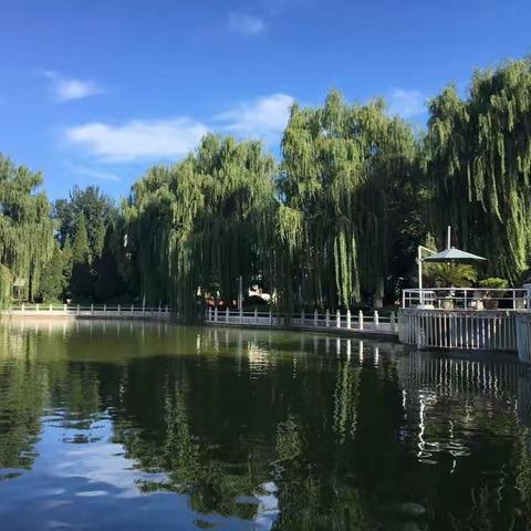 金秋全家游