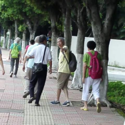 2017年6月27日番禺南沙大稳村绿色长廊，东涌村水乡风情街一日游。