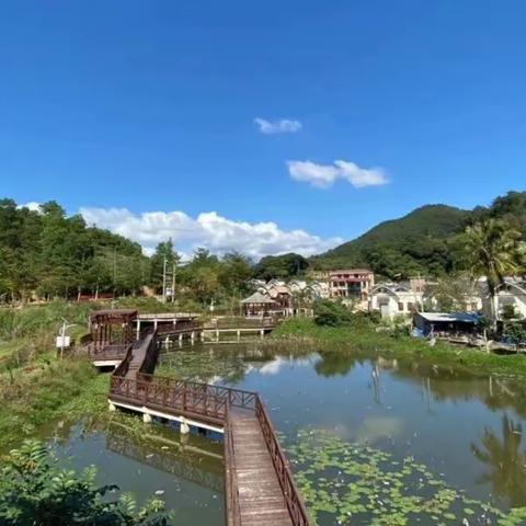 一个通过整合宅基地建设海南特色乡村民宿美丽文罗