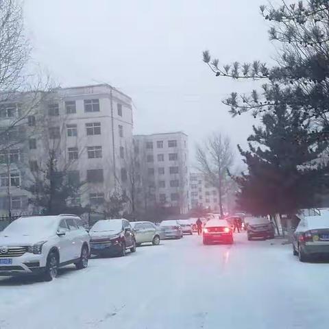 2018年一冬九盼无雪，2019入春喜降菱花，喜悦之余，提笔记之。。。