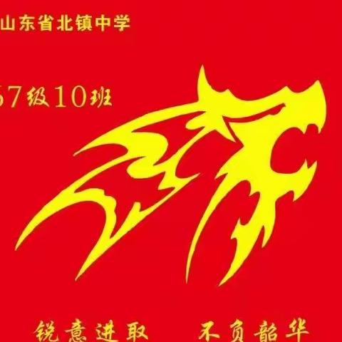 见“疫”勇为，一“网”情深——北中高一10班网课战“疫”纪实