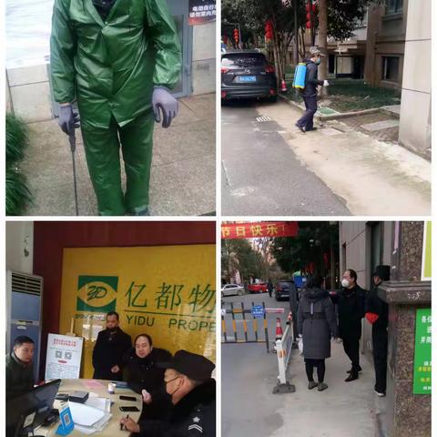 二豪豪的美篇