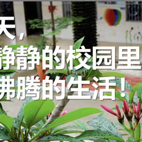 每天，在静静的校园里 过沸腾的生活——参观位子渌小学心得体会