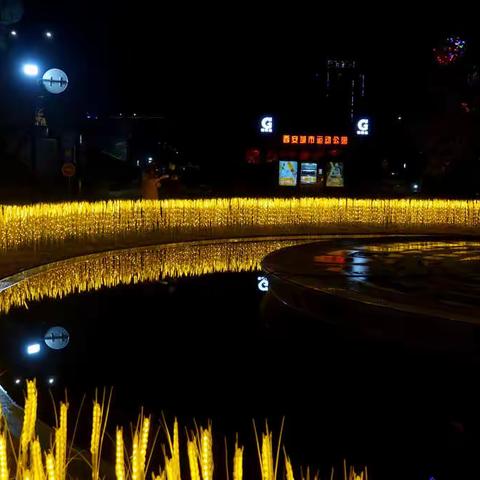【经发集团】点亮新春！城运再添最“虎”打卡点