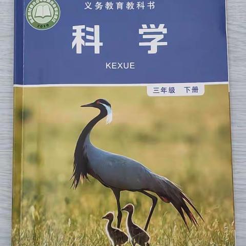 “  ‘艺’起抗疫，科学居家  ”海城市王石镇代千小学三年级科学，美术线上教学纪实。