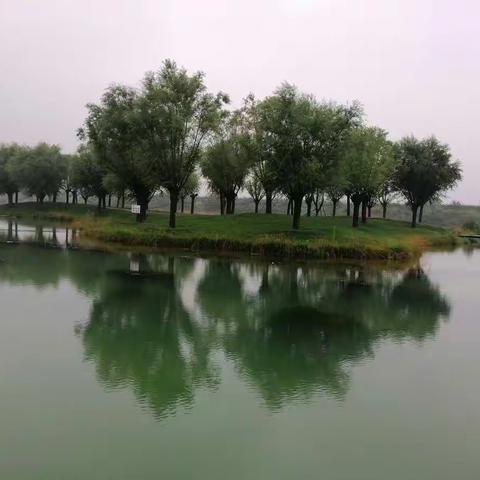 细雨中的太公湖