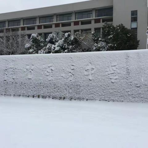 瑞雪兆丰年 附中赏美景