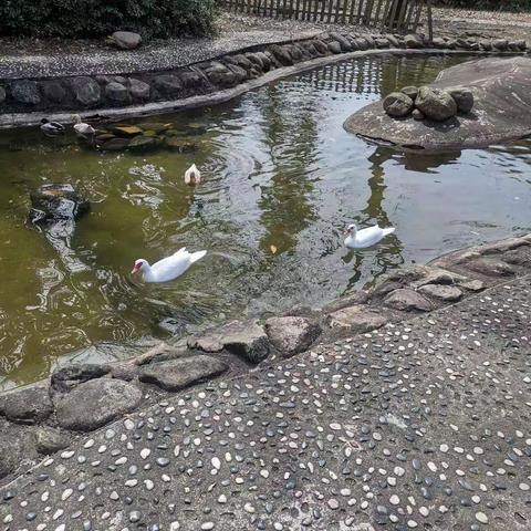 春来了，孩子们笑了