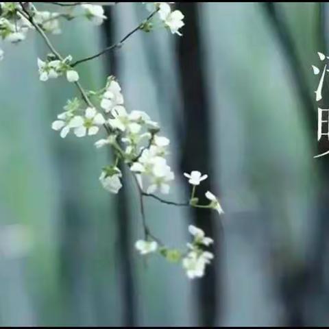 特殊时期逢清明，你我共寄浓浓情——博兴三小2018级6班清明系列主题活动