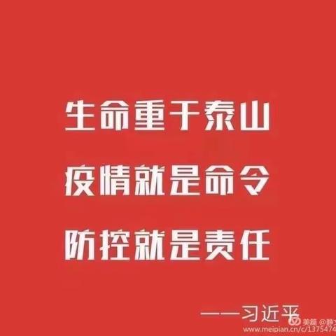 党旗飘扬，严防死守，护群众安康，董王党支部抗疫美篇