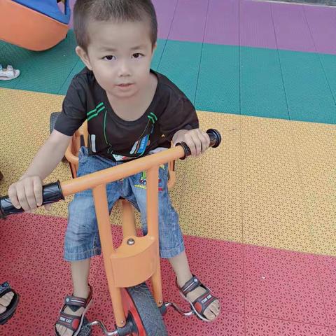 海口市嘉禾幼儿园大一班第九周