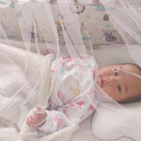 保护幼子之蚊虫之祸