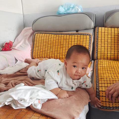 鱼儿亲嘴治口水