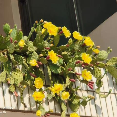 5月11号的怀念与祝愿