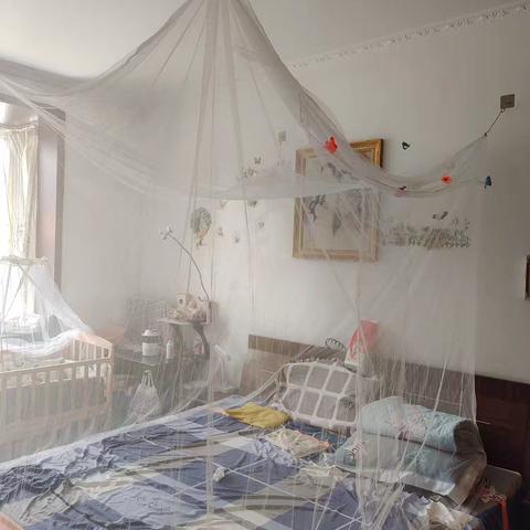 保护幼子之与蚊虫之战难言胜负