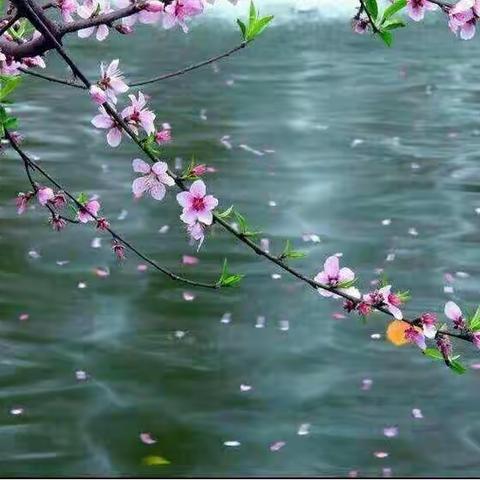 【主题研修】行走在春暖花开的路上
