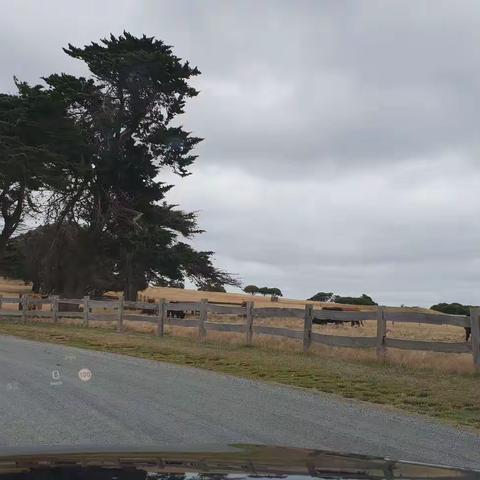 小提琴家的美篇