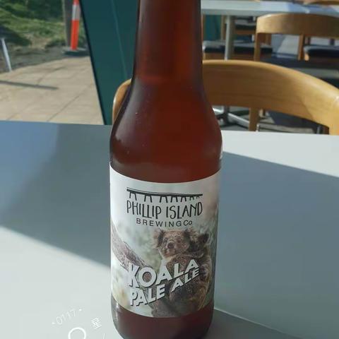 小提琴家的美篇