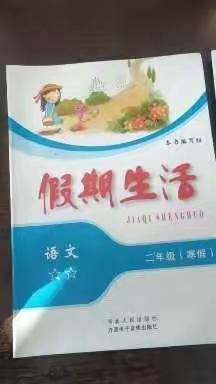 大巨小学二年级丁可涵有趣的寒假生活