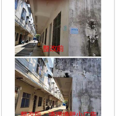 澄迈县热作局对单位庭院卫生存在的问题进行整改