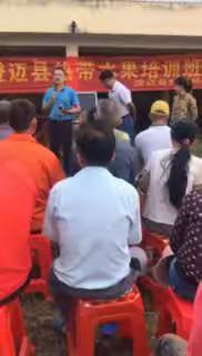 澄迈县热作局举办荔枝技术管理培训班