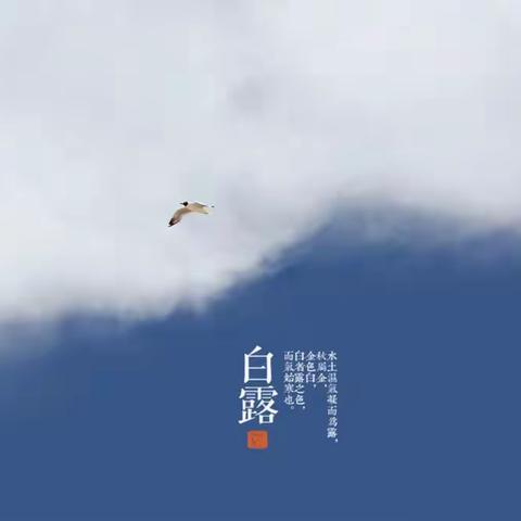 “白露秋分夜，一夜凉一夜”——曹庄镇河口幼儿园把白露节气说给你听