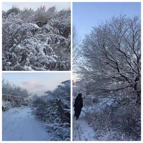 雪，是冬天的歌