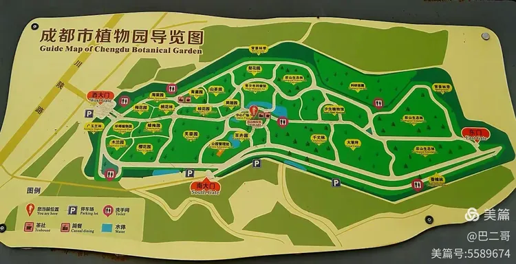 成都买绿植的地方