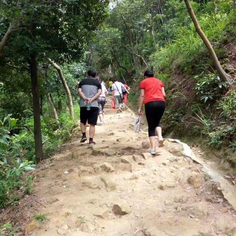 新会圭峰山顶的天鹅湖