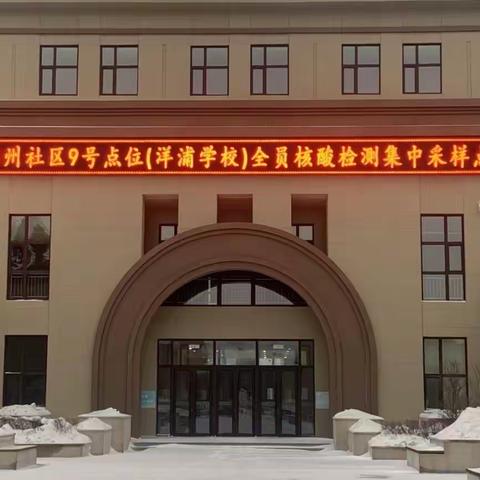 【和谐经开•智慧洋浦】初心不忘 争当先锋 动力前行——洋浦学校“心动力”党支部抗疫先锋报道