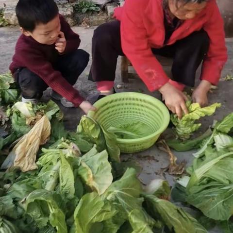 “情暖三八，爱在行动”