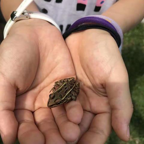 20220721温哥华旅游