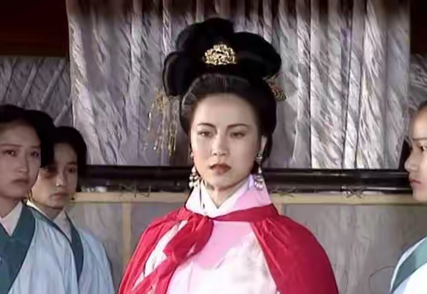 三国纵横   第71讲