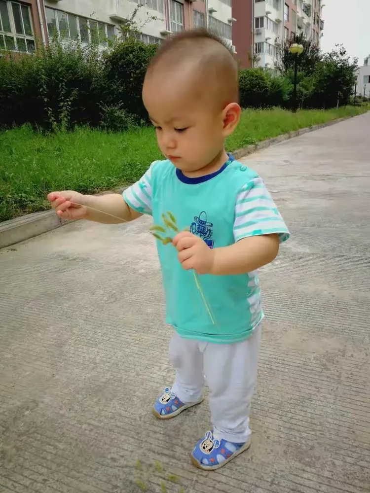 天真童年刘昱辰—— 实录孩提趣事 记叙梦幻故事