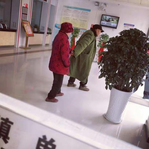 县府分社小家庭