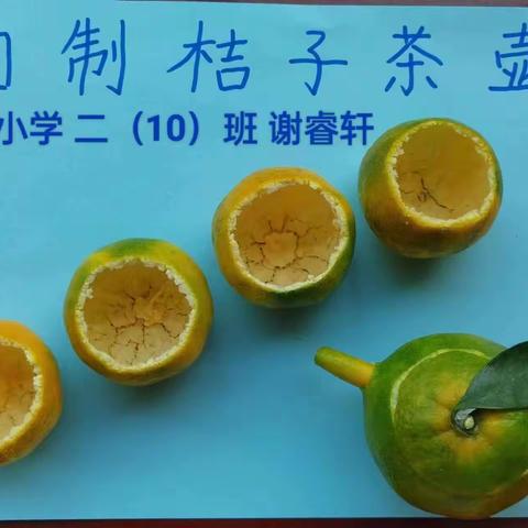 🍊正是桔子浅青深黄时🍊