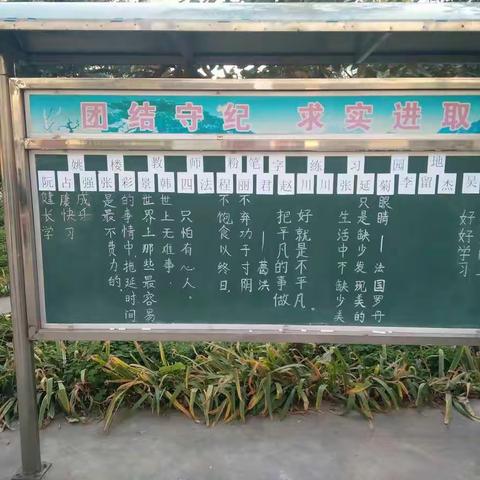 纸坊镇姚楼小学硬笔字作品活动掠影