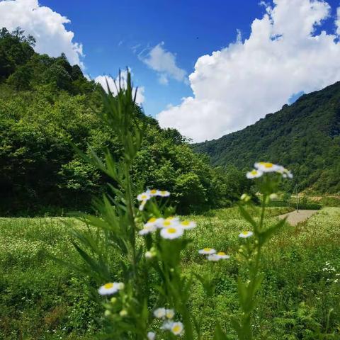 原汁原味原生态—镇巴游记（2022年7月5-6日）