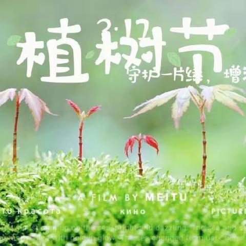 “守护一片绿，增添一份美” ——藉口镇藉口中心小学植树节活动