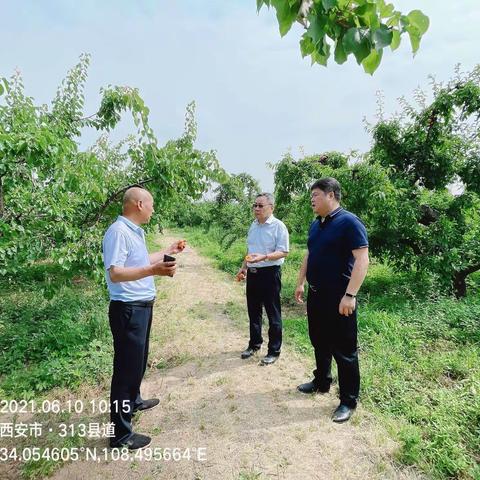 不忘初心、牢记使命——蒋村街道6月10日工作纪实