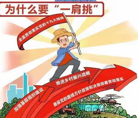村两委换届 | 什么是村级组织换届“一肩挑”？