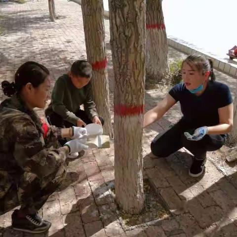 “为小树换衣，打造亮丽校园”铁厂沟镇学校“三进两联一交友”联谊活动