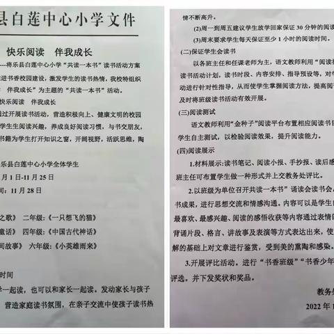 共建书香校园   同享读书之乐——白莲学校