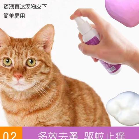 一楼综合超市，新引进宠物干粮，宠物用品，宠物玩具，品类齐全，欢迎家中有爱宠的来选购。