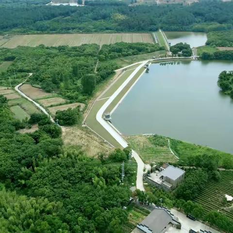 文山宫听泉问茶