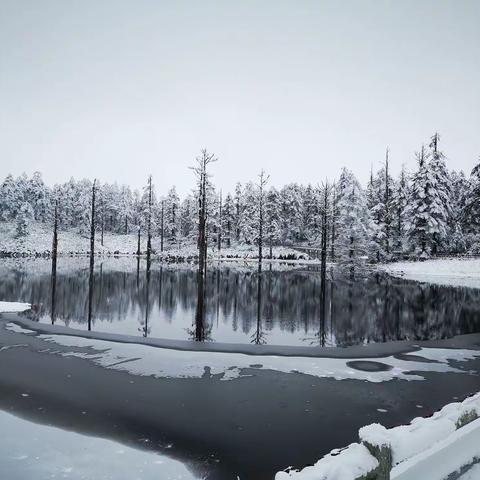 瓦屋寒雪